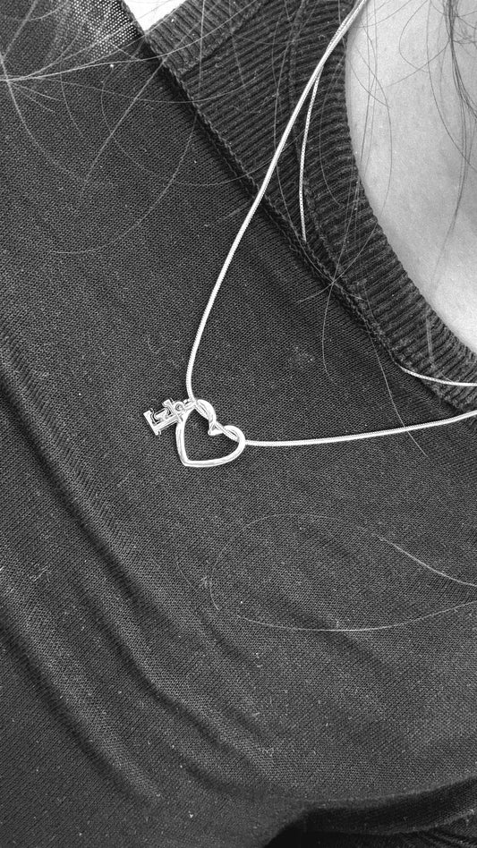 Baş Harfli Çelik Kalp Kolye (Kutulu Gönderim)